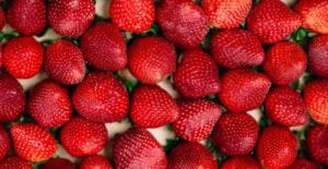 Aerial view of a cluster of red strawberries with the green hulls facing down