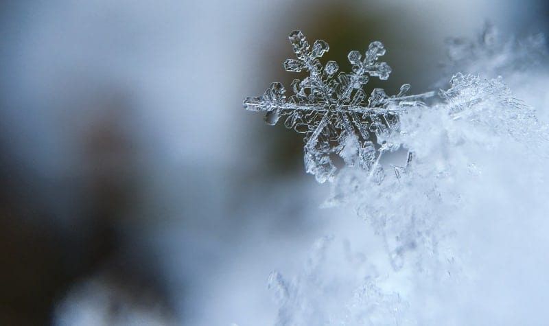 Closeup of a unique snowflake, like how each tooth is unique